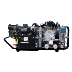 W31 Mariner Petrol